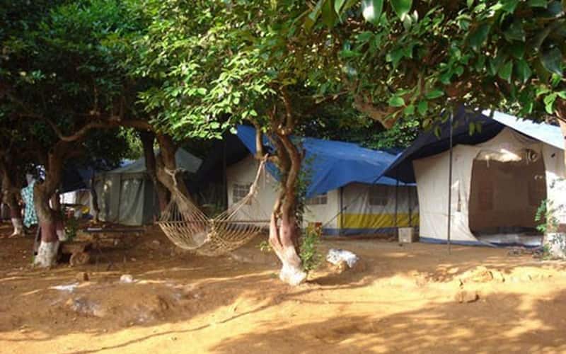 KOYNA BACKWATER CAMP, Satara 2
